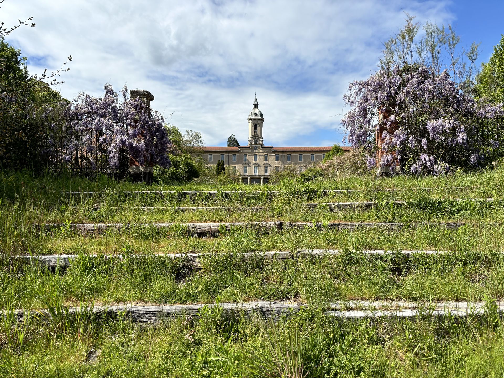 parc honneur fleurs