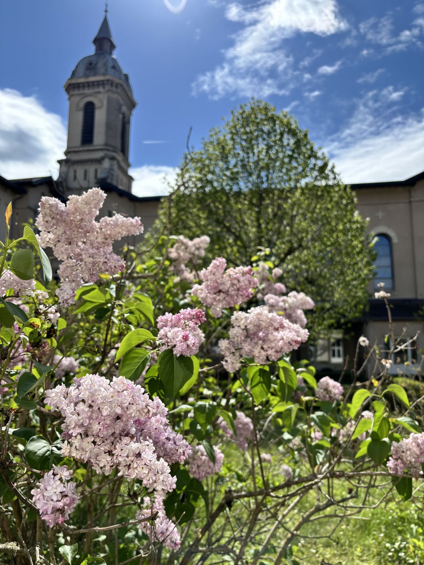 printemps mariage