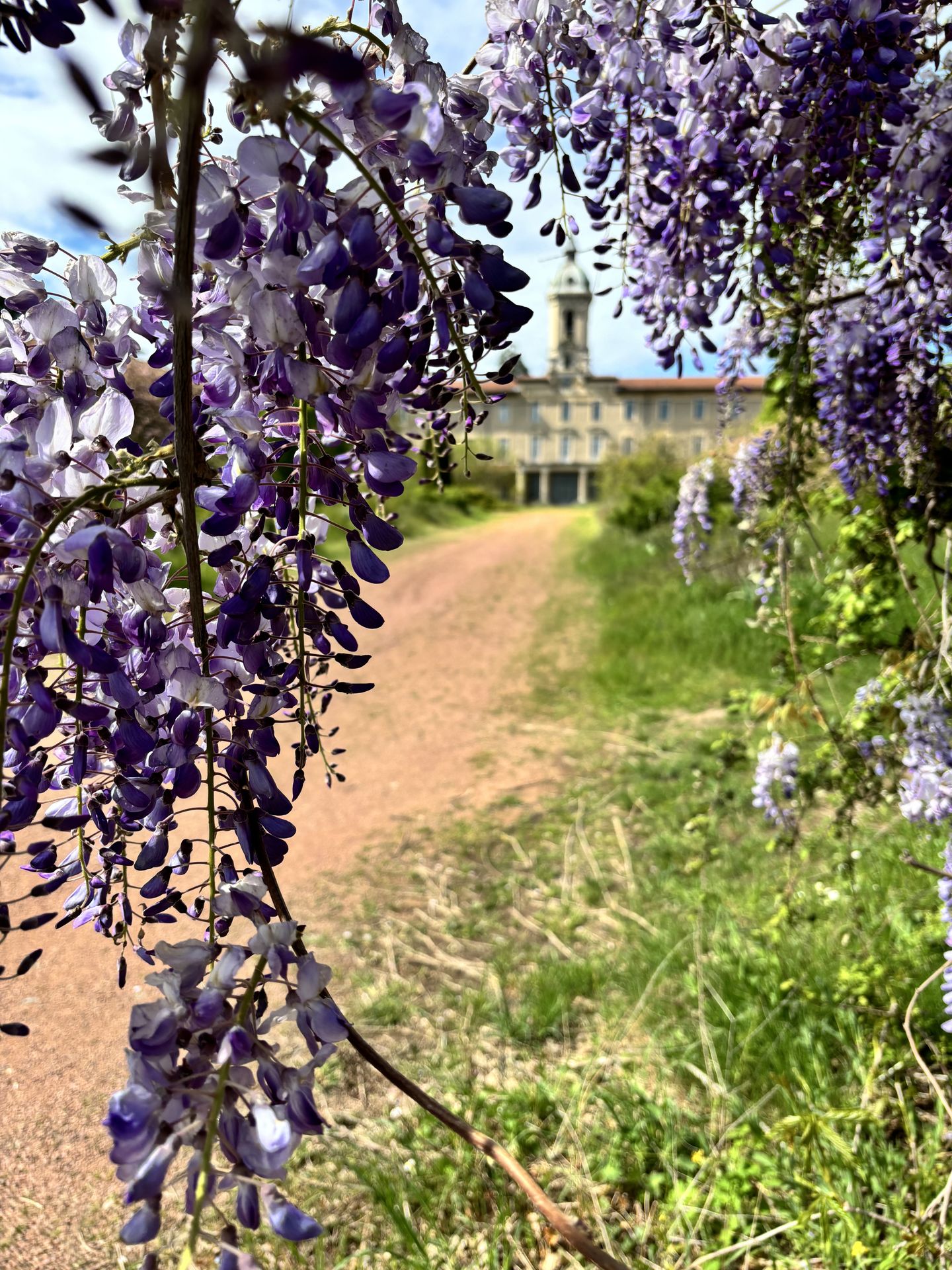 jardin fleuri