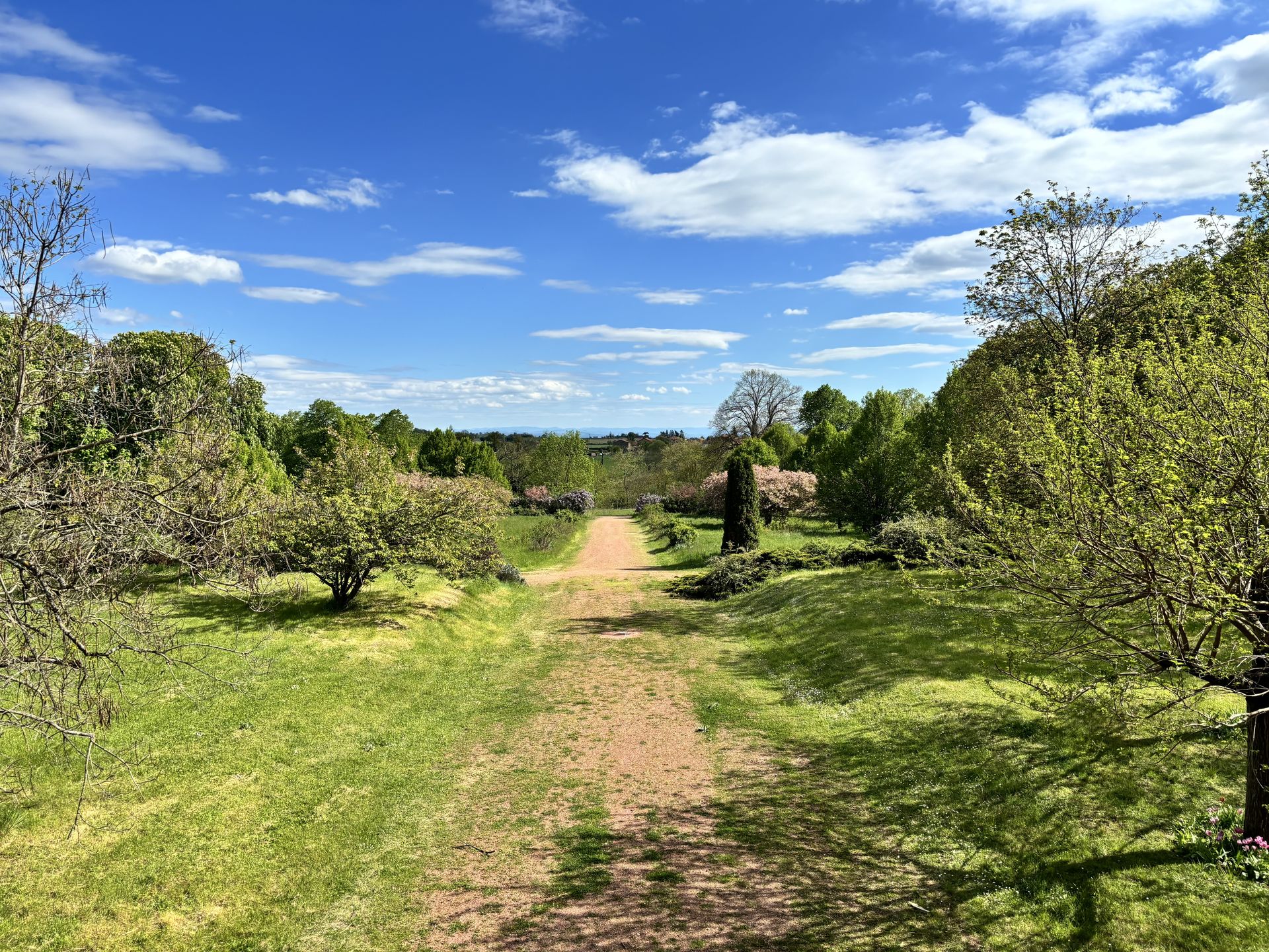 calèche jardin honneur