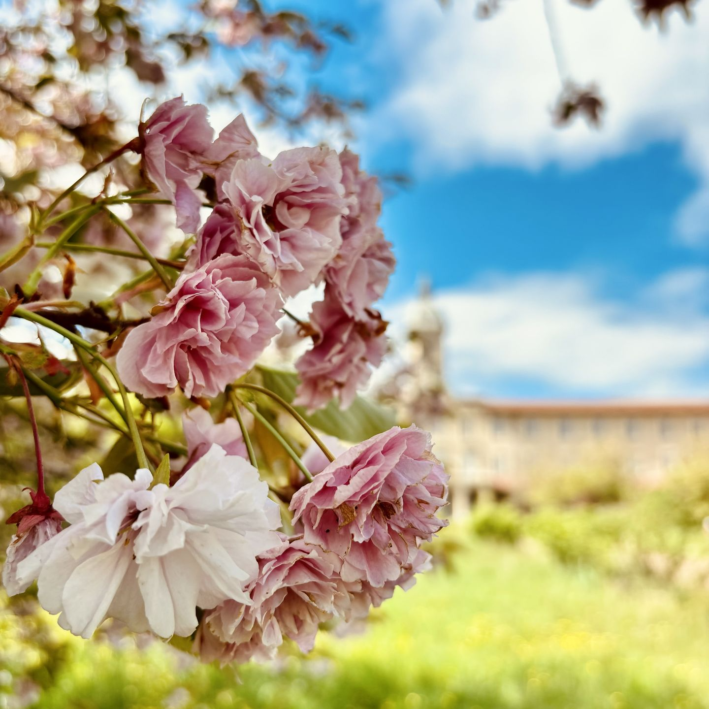 parcs abbaye saint-jodard
