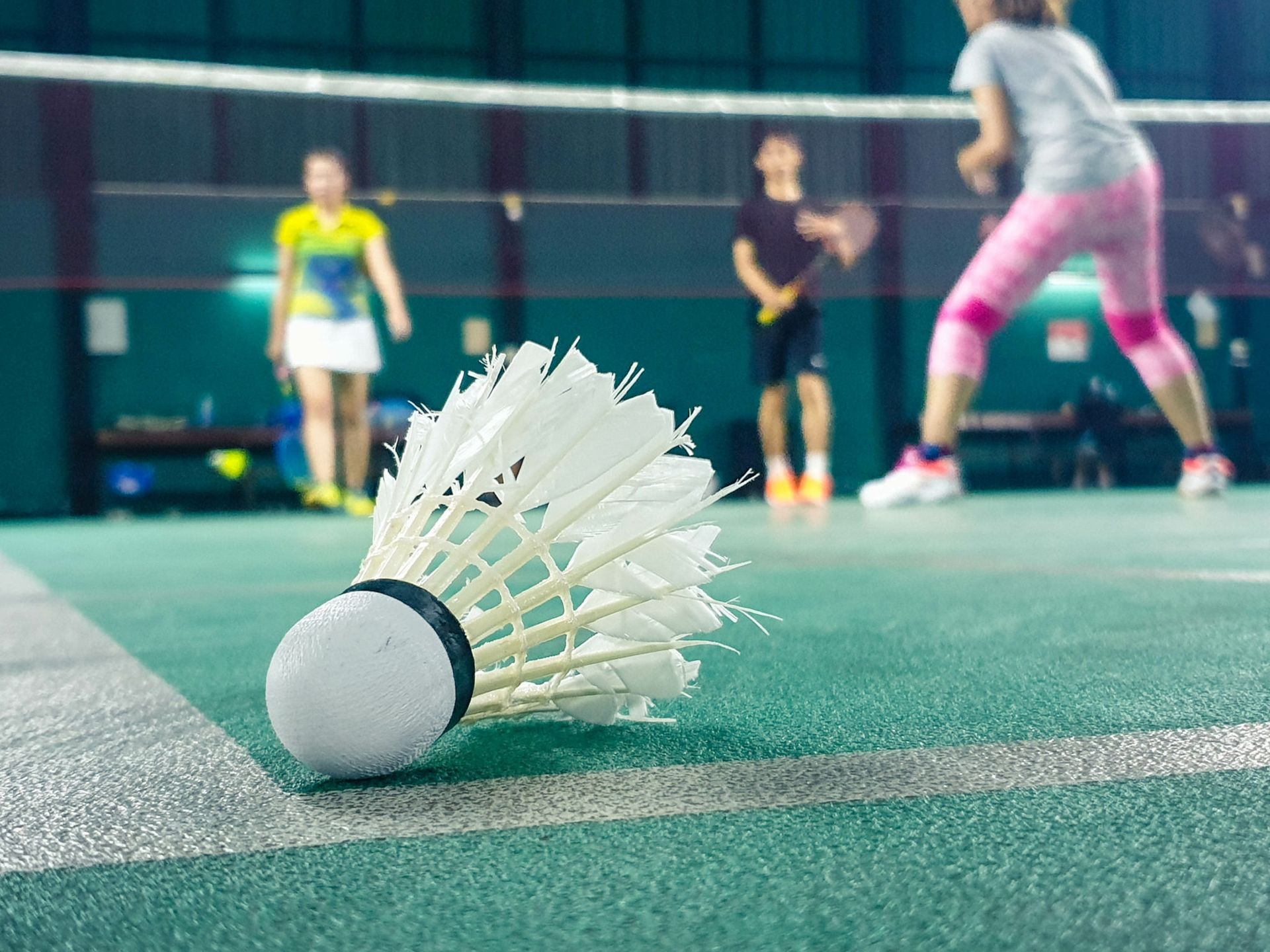 multisports roanne